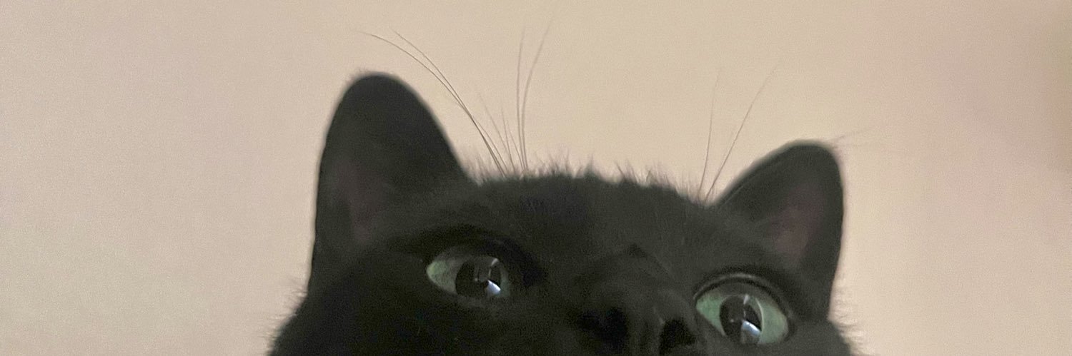 eripeco225's profile banner image