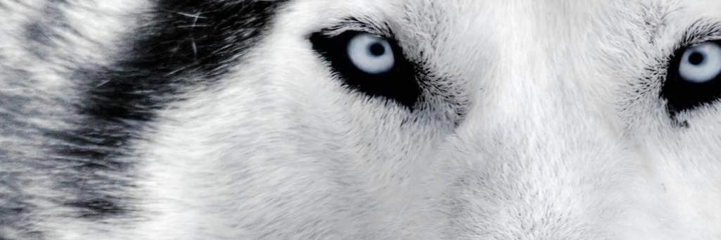 ZonaCan's profile banner image