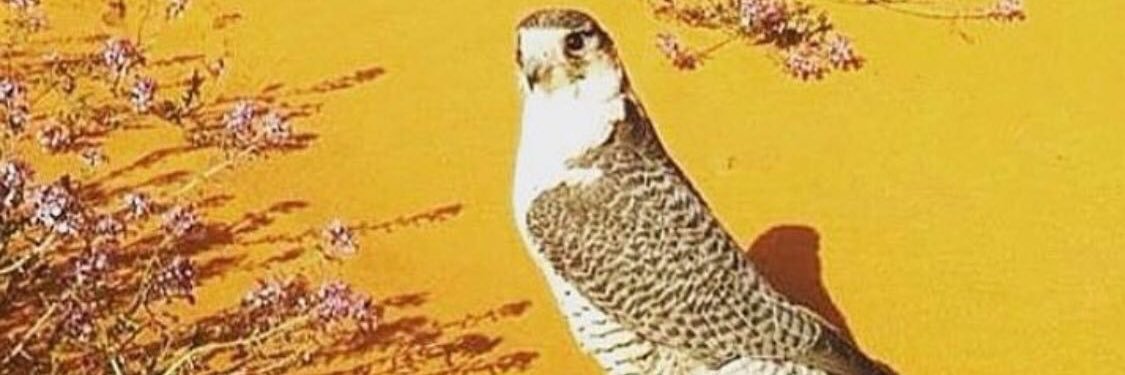 saadss1's profile banner image