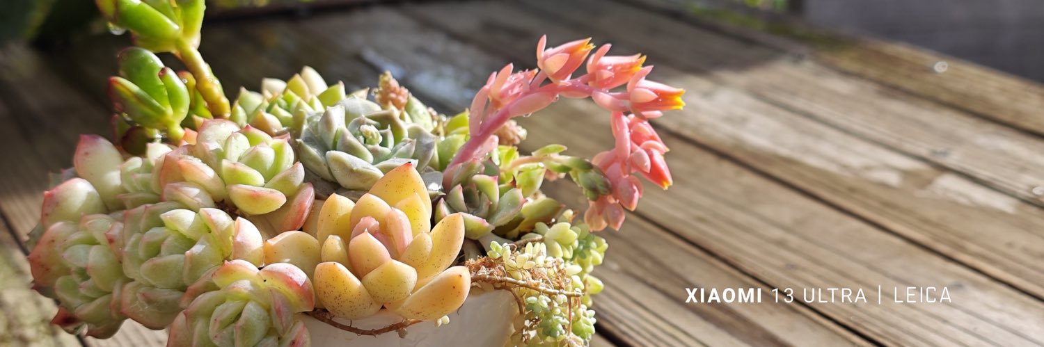 らむりん W/ 鬼切丸 banner