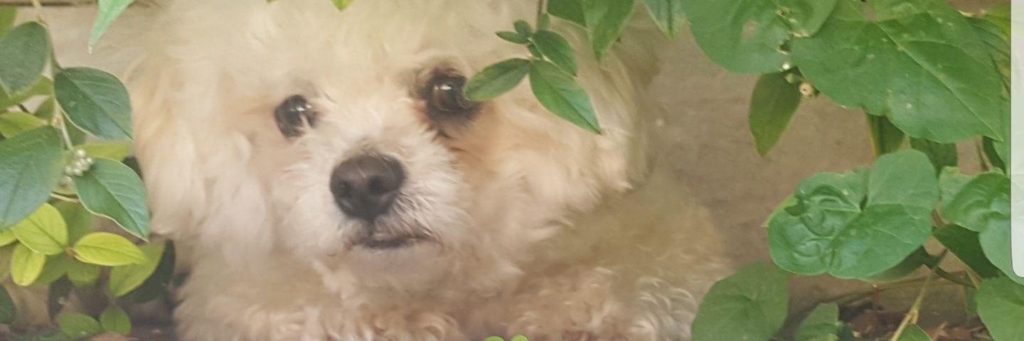 Wezza_79's profile banner image