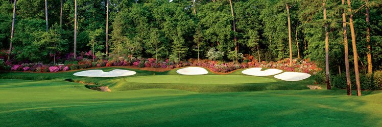 elite_augusta's profile banner image