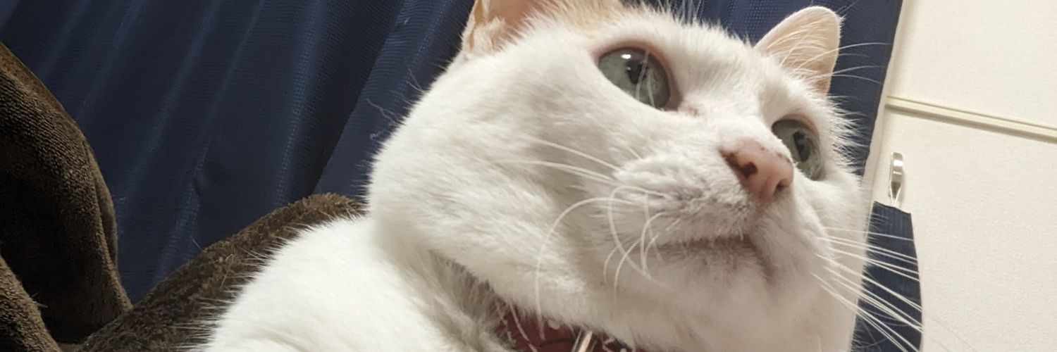 kitasanhilack's profile banner image