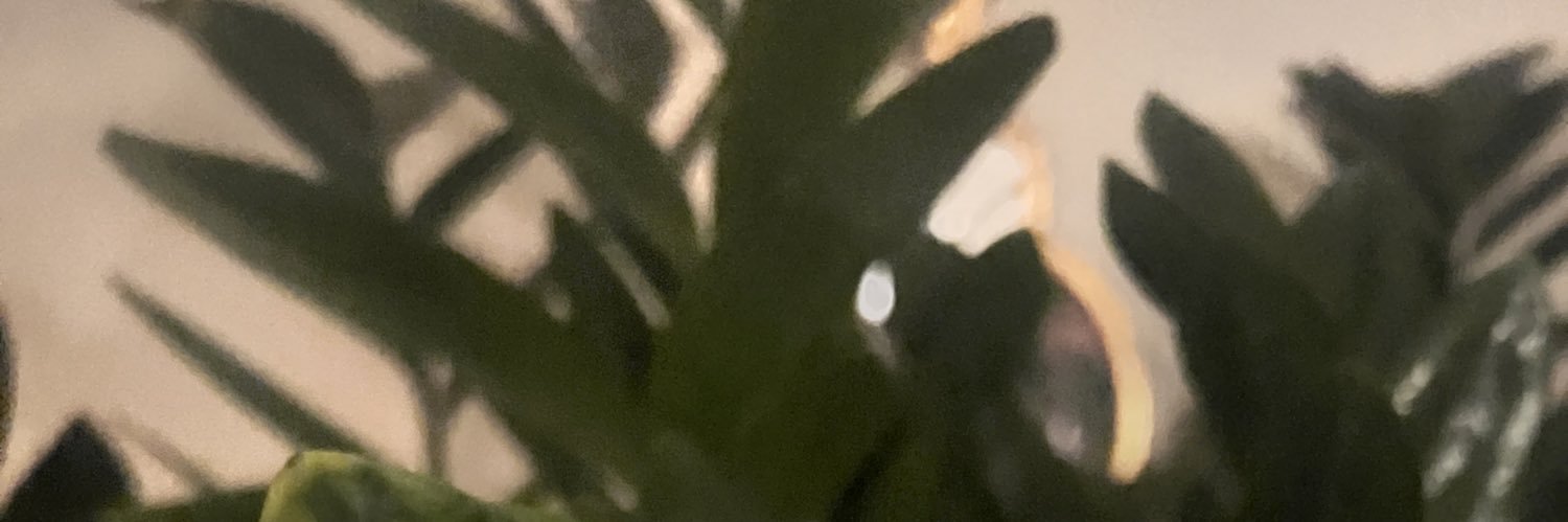 haya____n's profile banner image