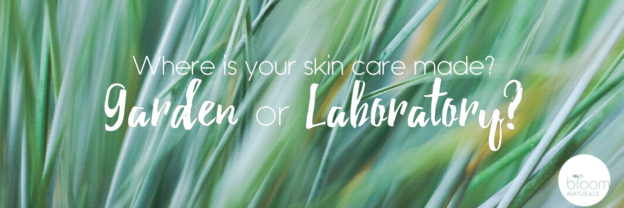 bloomnaturals's profile banner image