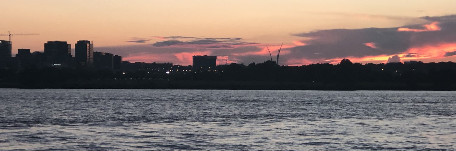 MandiWyndham's profile banner image