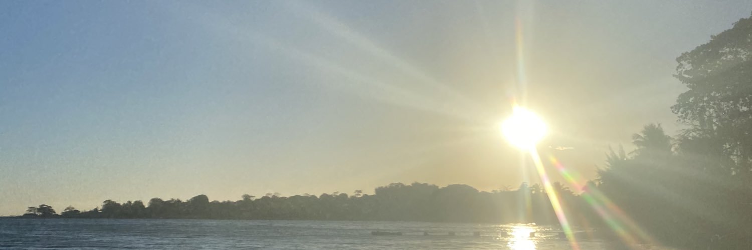 dossantosxavier's profile banner image