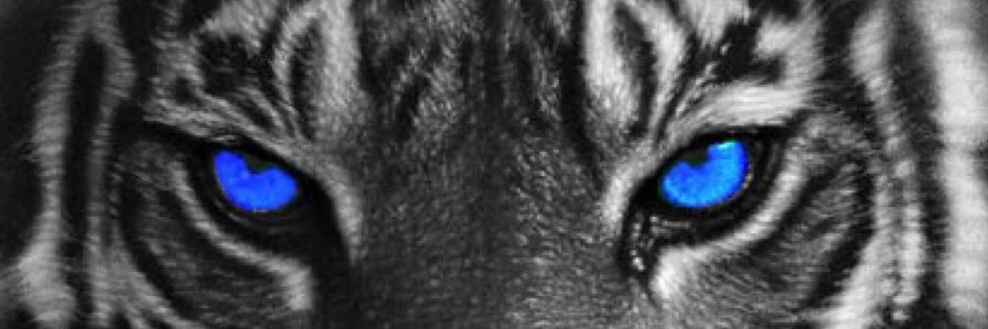 TheActualAI's profile banner image