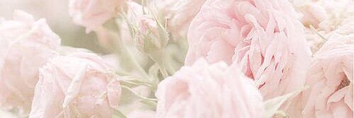 ____Kaito__tg's profile banner image