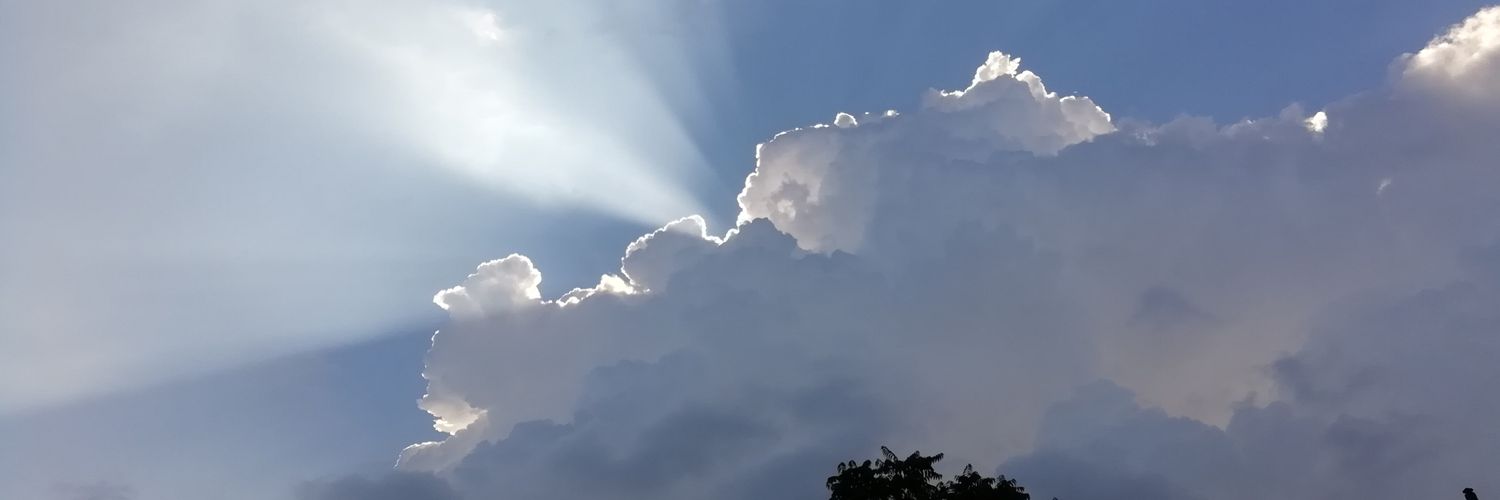 ErayYEGEN's profile banner image