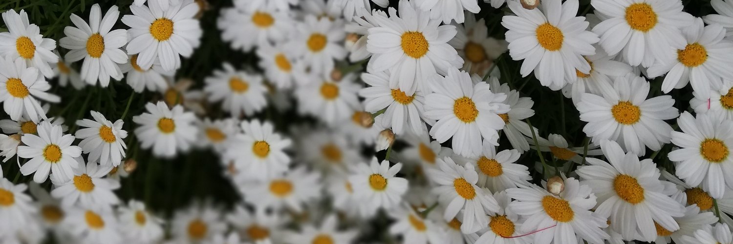 fuoricome's profile banner image