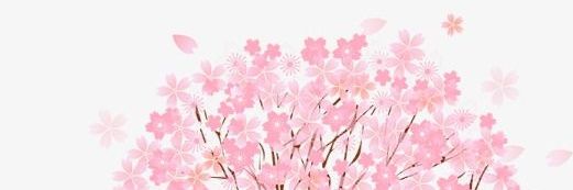 IldaaGoyochea's profile banner image
