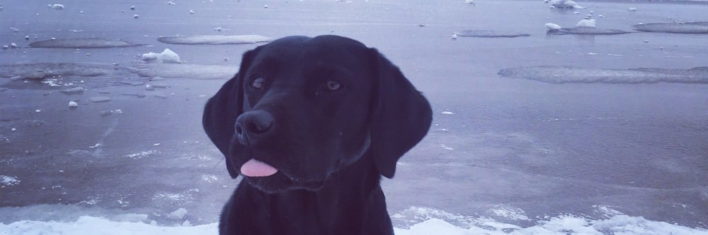 sblack_x's profile banner image
