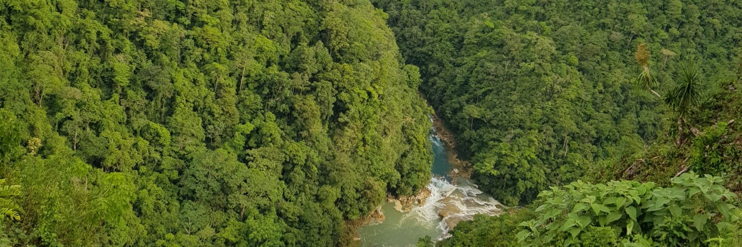 NormaSanchezG's profile banner image