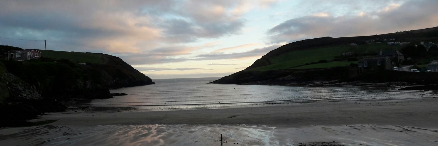 orla329's profile banner image