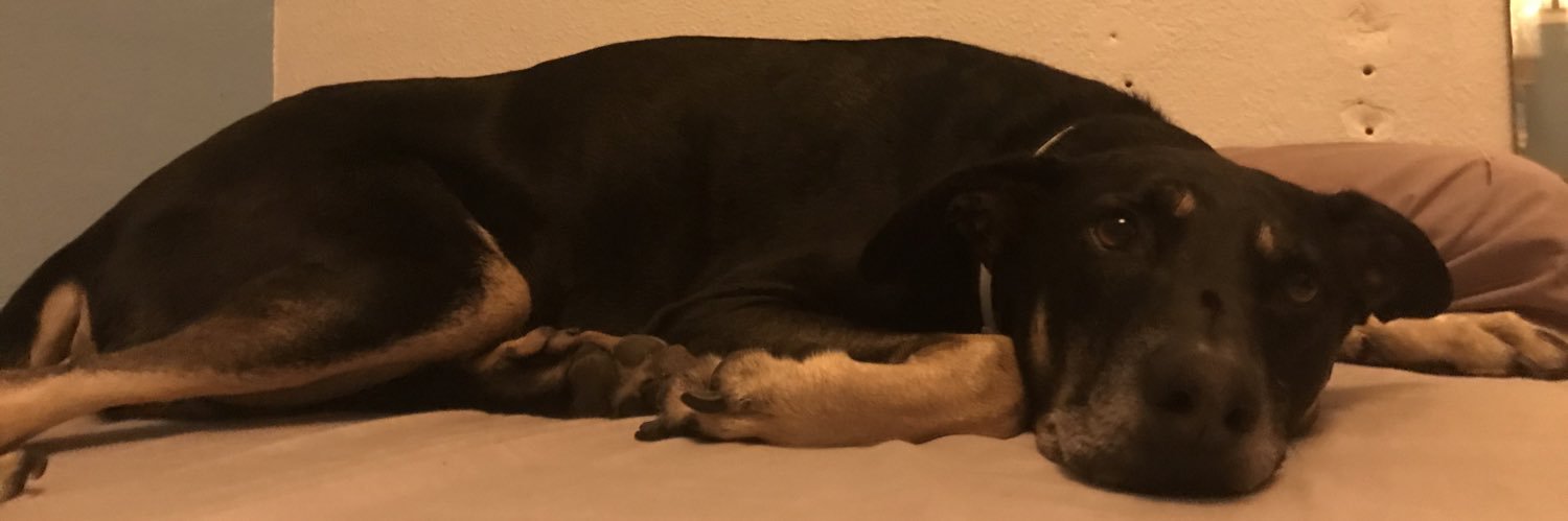 oscarolea10's profile banner image