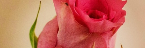 hlloyd94's profile banner image