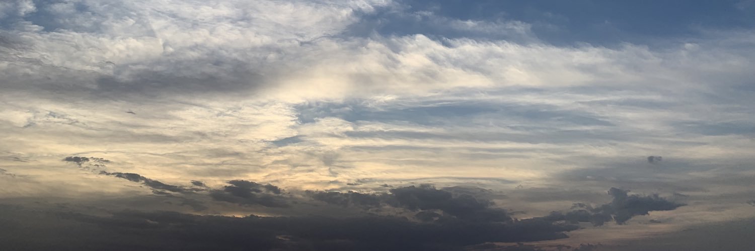 QBlwi's profile banner image