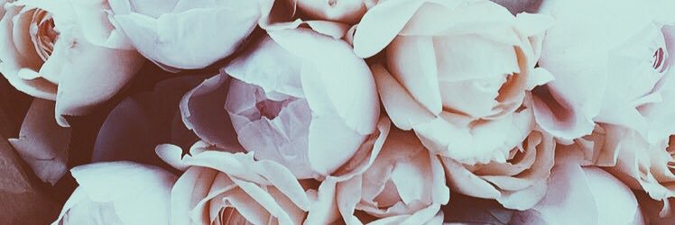 OhJuuli's profile banner image