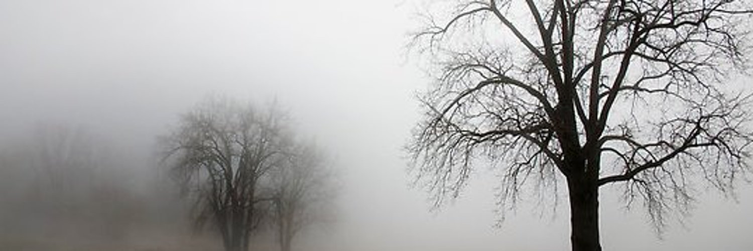 vanik84's profile banner image