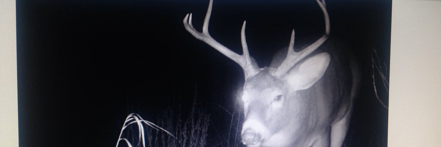 mason_pelletier's profile banner image