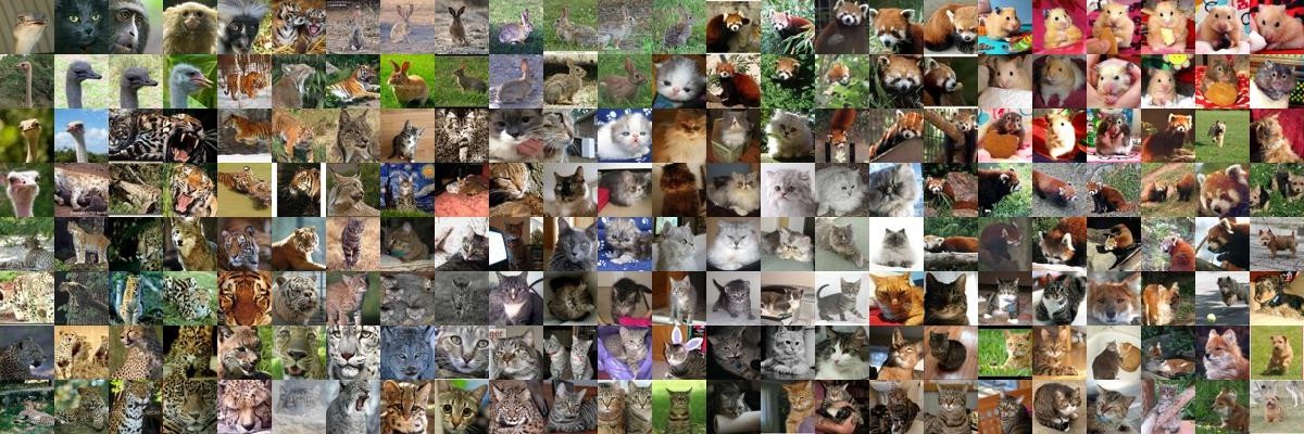 Igor Riabtsov banner