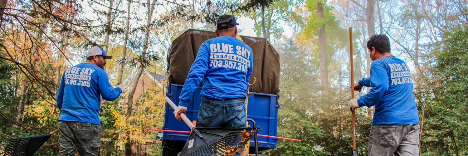 BlueSkyLScaping's profile banner image