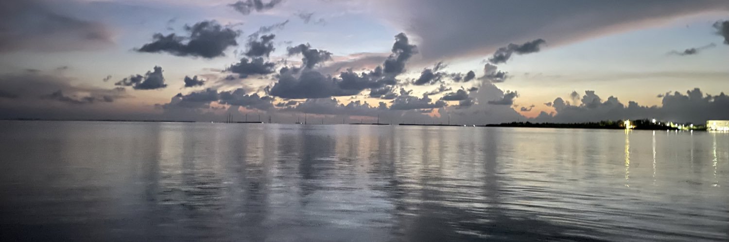 zmj23_'s profile banner image