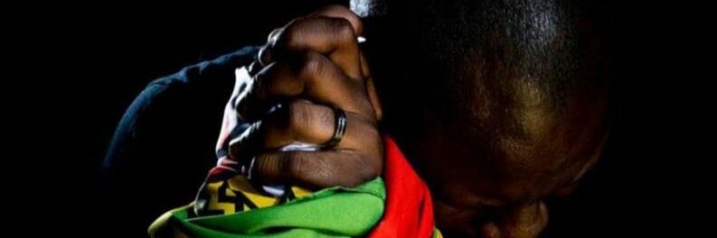 ZimbaMonitor's profile banner image