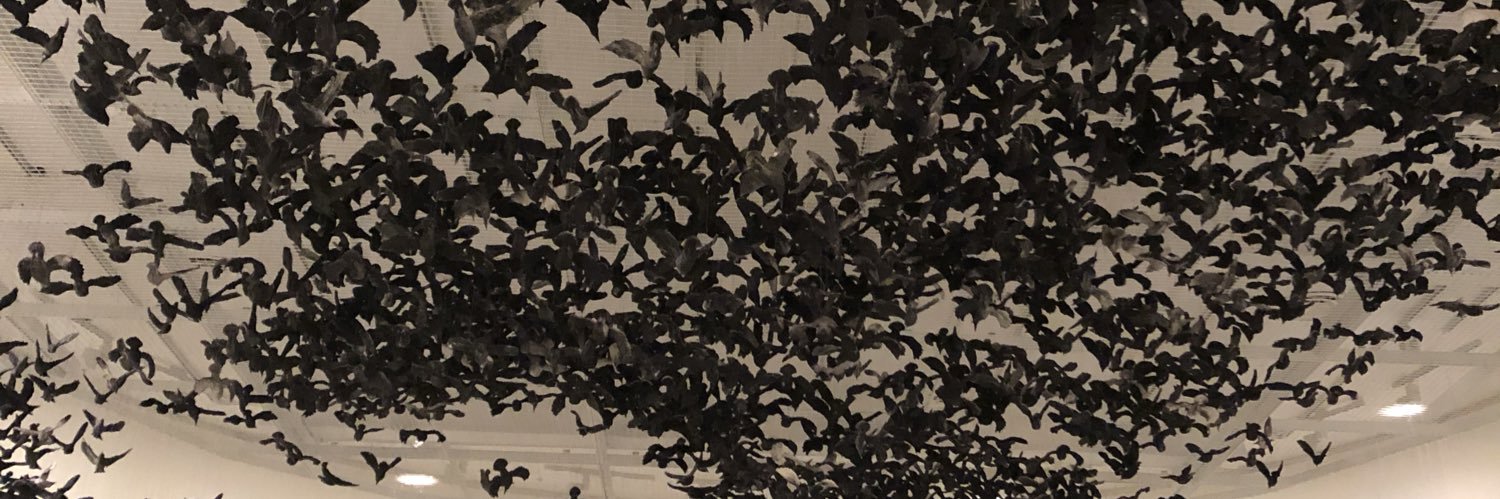 L0L0Lady's profile banner image