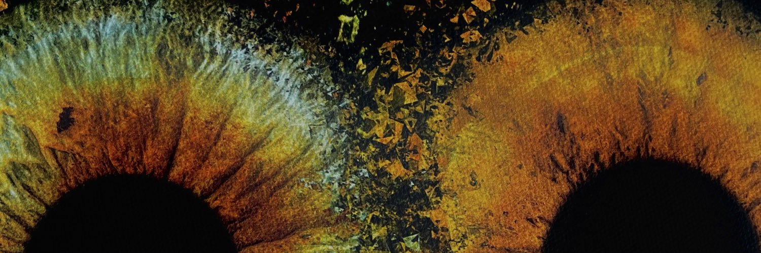 zoehya's profile banner image