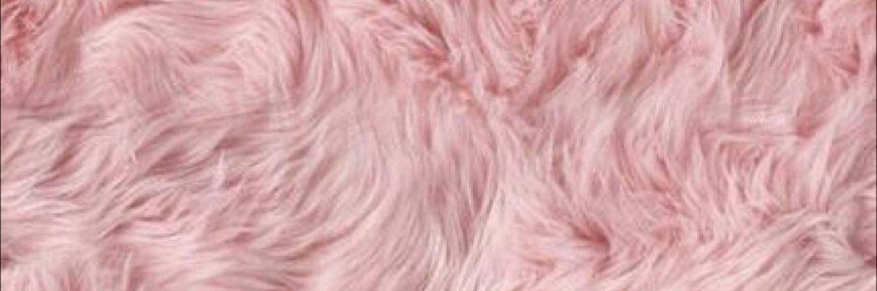 estefanyog__'s profile banner image