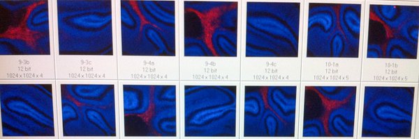 NicolaBHW Profile Banner