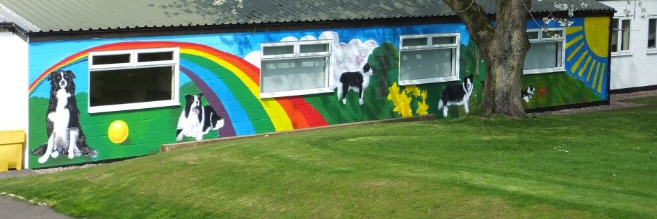 Border Collie Trust's banner