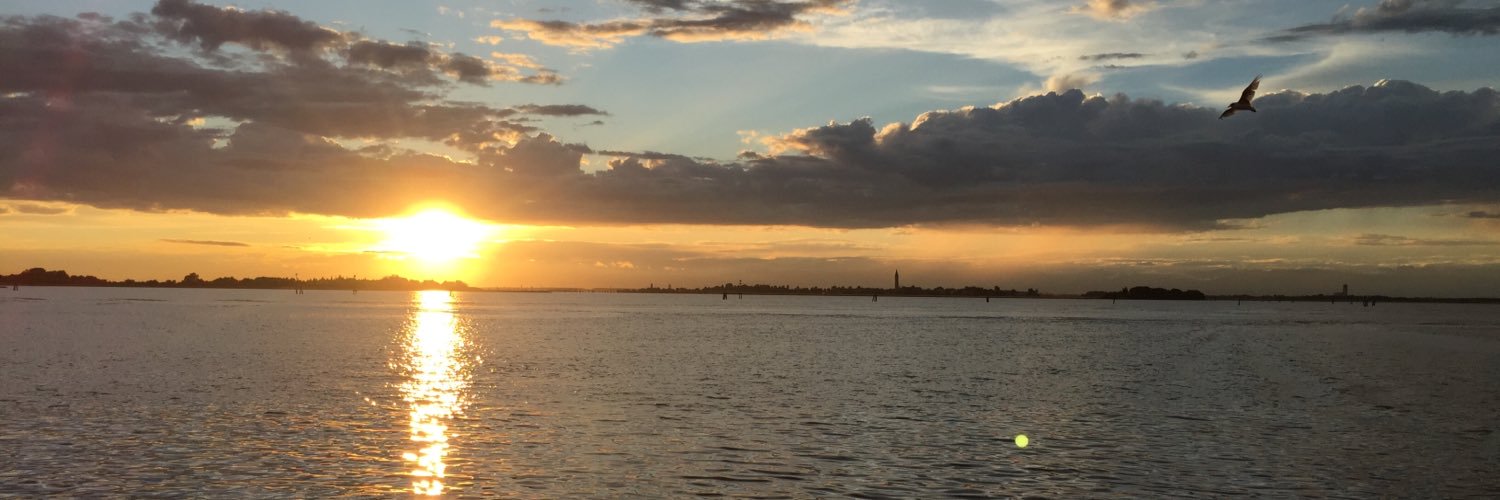 van_vilsteren's profile banner image