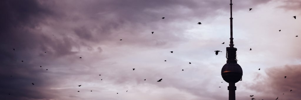 kartonrapplerin's profile banner image