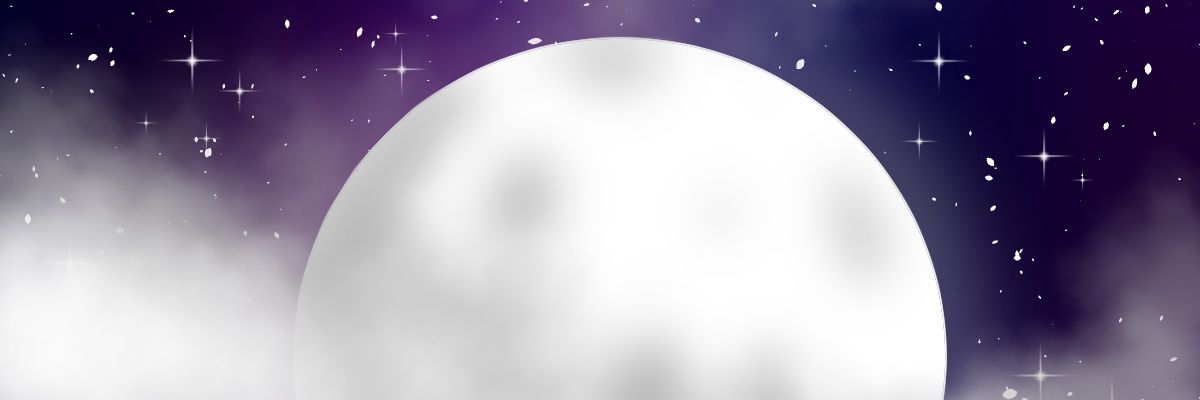SpanglyOwl's profile banner image