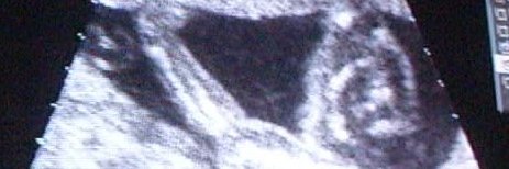 benjdarnell's profile banner image