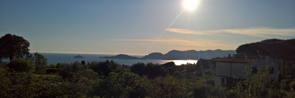 ppagella86 Profile Banner