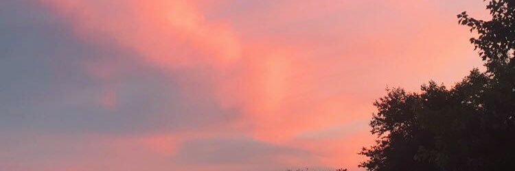 daniellekleiin's profile banner image