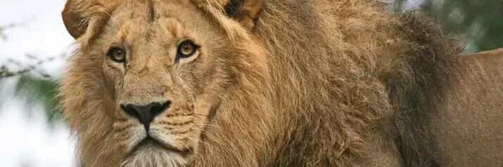mustumba's profile banner image