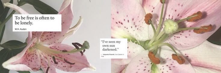 mujseo's profile banner image