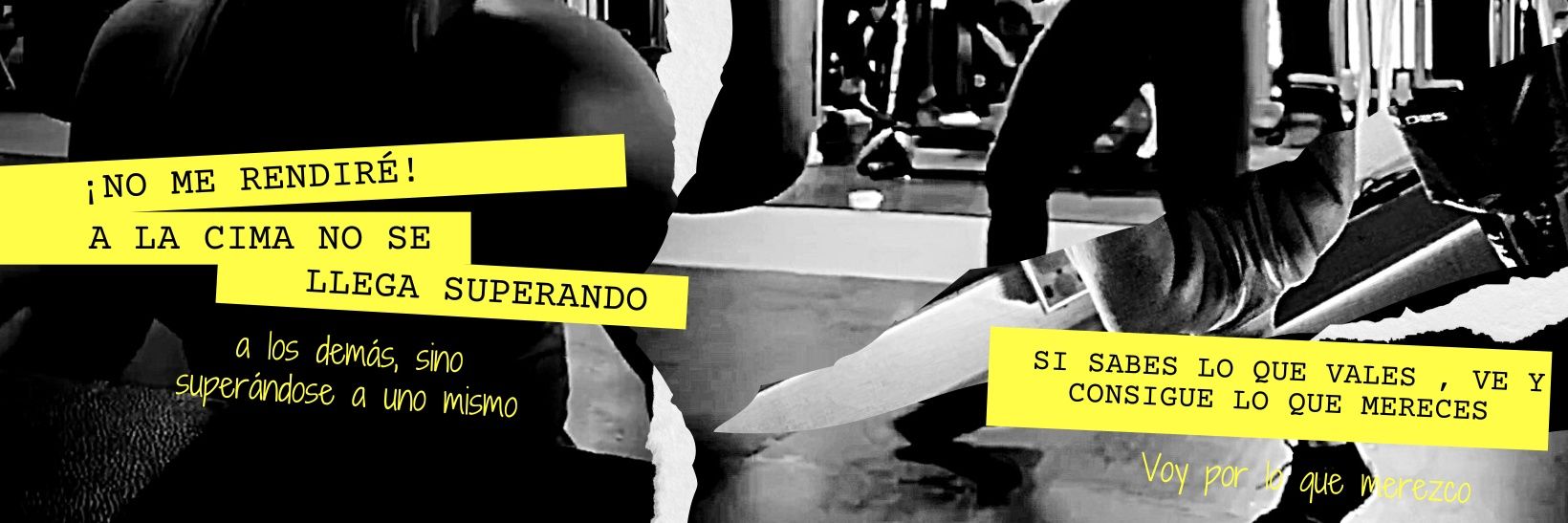 diana_pardof's profile banner image