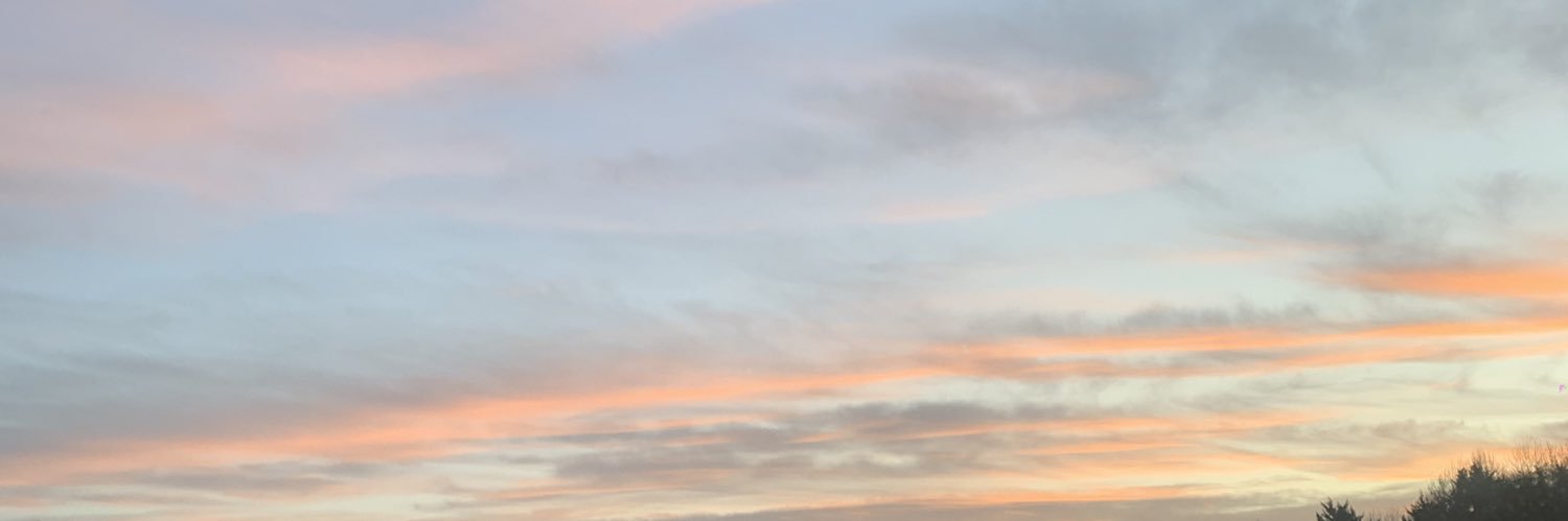 zannnntea's profile banner image