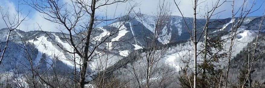 L- just L✝️🇺🇲 banner