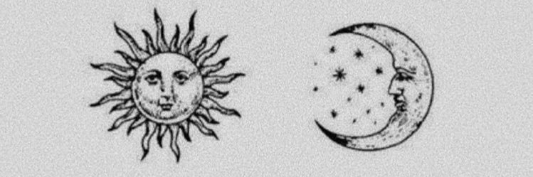 ninaantoncelis's profile banner image