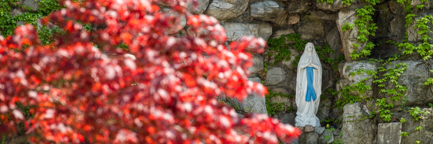 ND Center for Citizenship and Constitutional Govt. banner