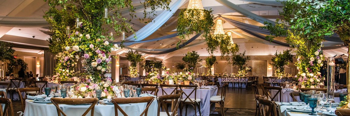 Springfield C. C. banner