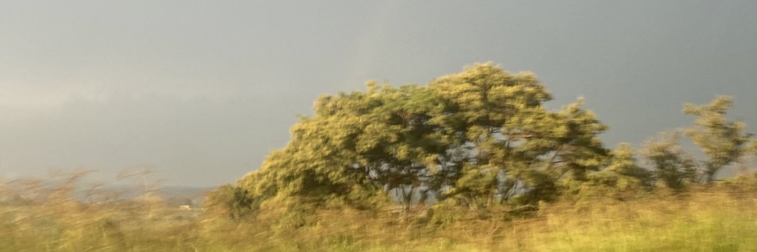 elivc_'s profile banner image