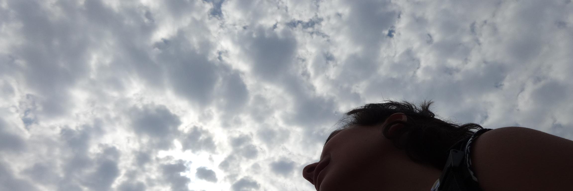 barticoa's profile banner image